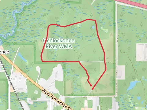 Lewis Loop Road