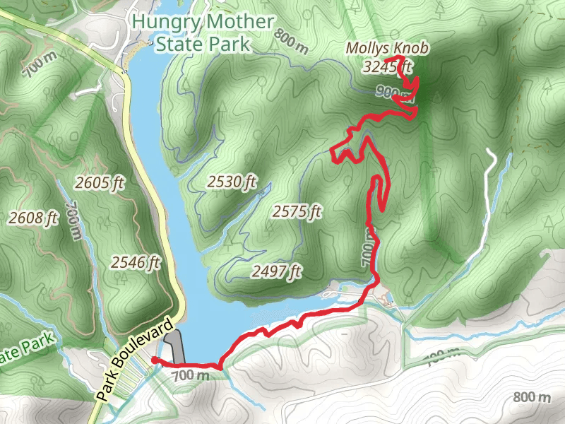Mollys Knob from Camp Burson