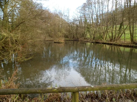 Trantershill Plantation and Swift's Hill Loop