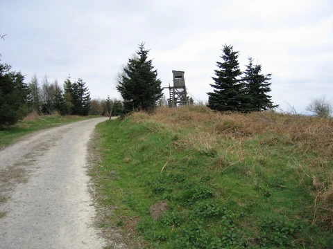 High Vinnalls - Burrington and Richard's Castle