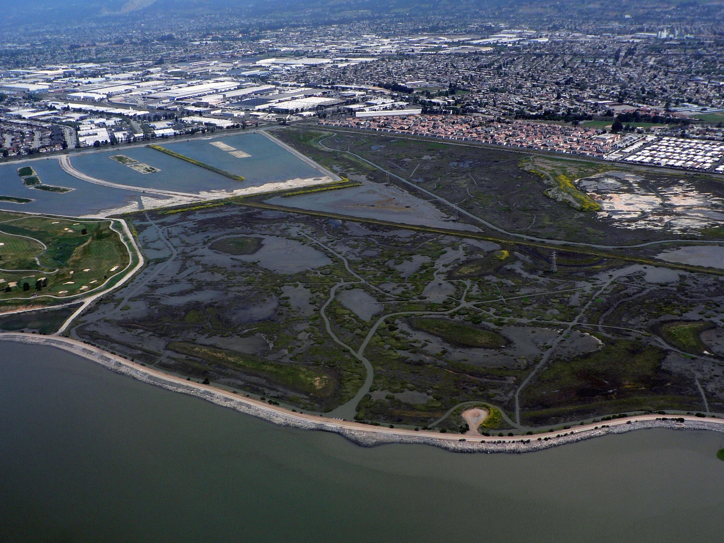 An image depicting the trail Bay Trail - Tidewater Avenue and its surrounding area.