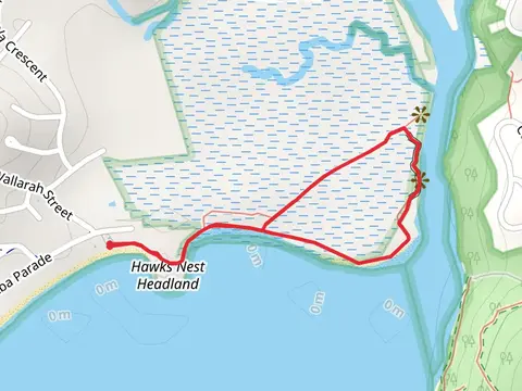 Mangrove Walk