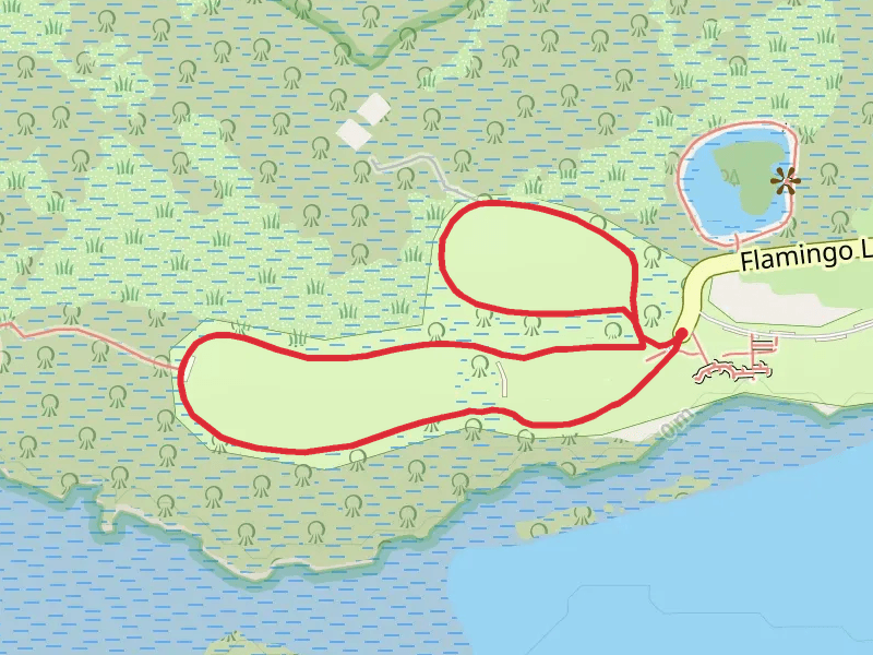 Flamingo Campground Loop