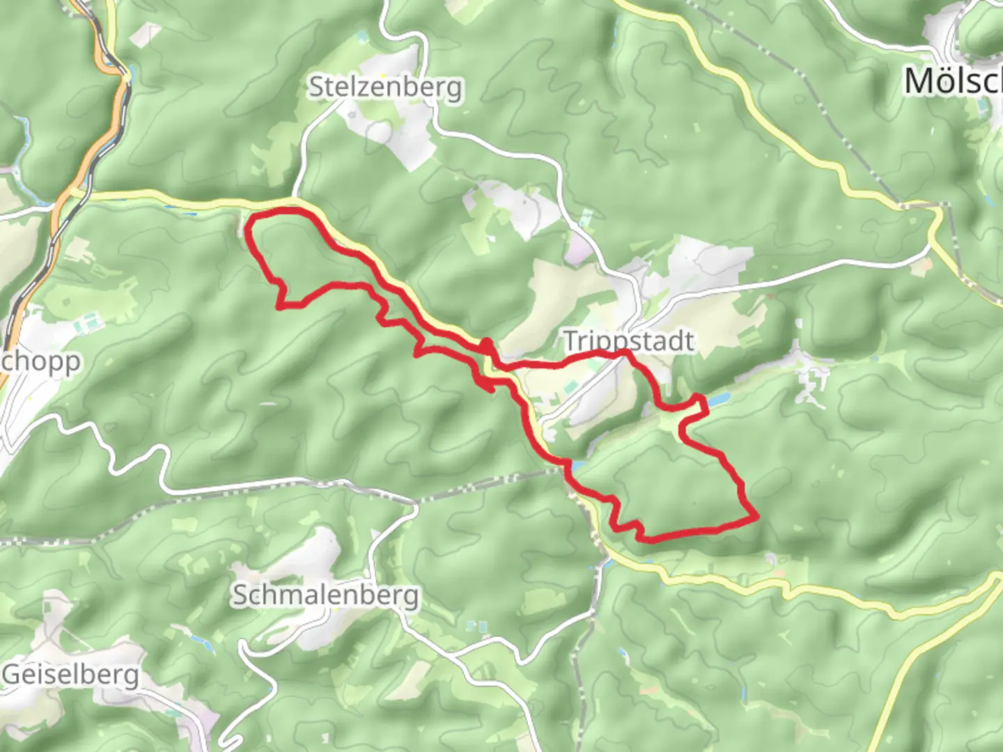 An image depicting the trail Wilensteiner Muhle and Grober Rothenberg Loop and its surrounding area.