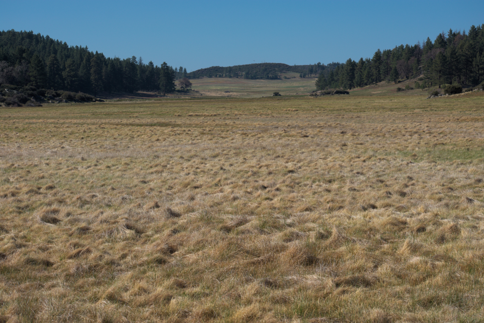 An image depicting the trail Big Laguna Lake via Escondido Spur Trail and its surrounding area.