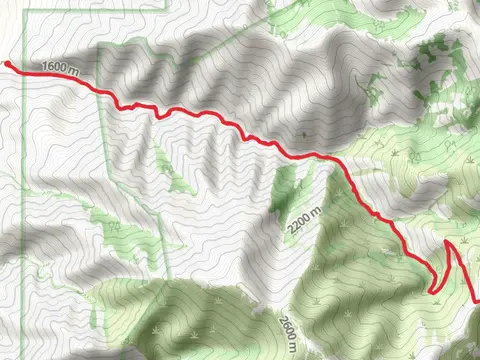 Buffalo Creek
