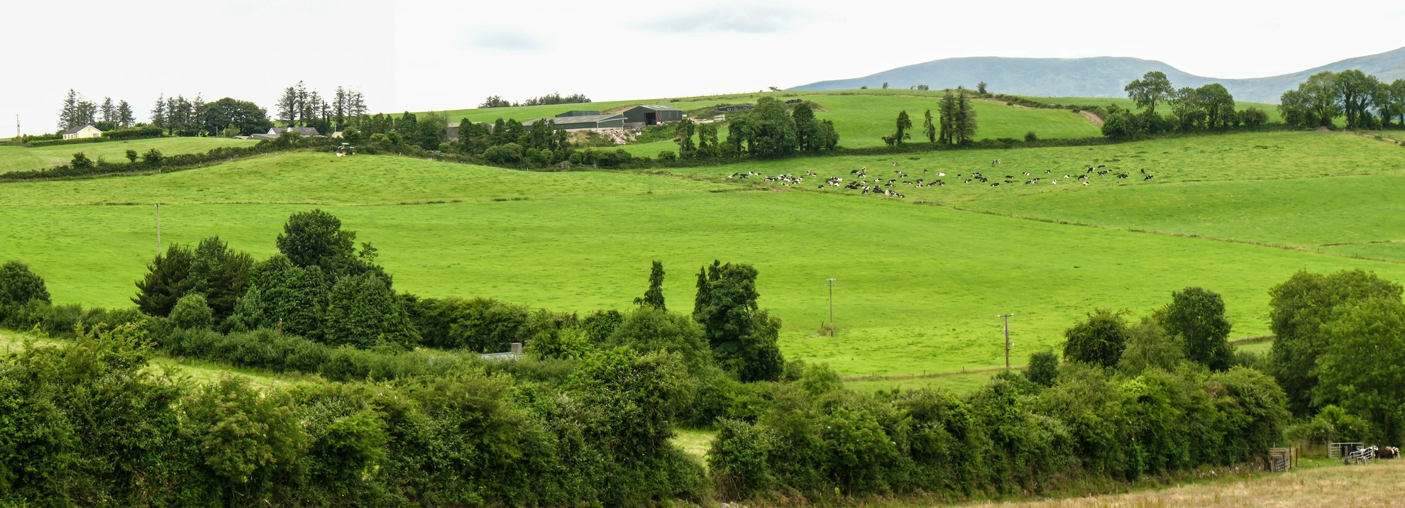 An image depicting the trail Glenpatrick - Glenpatrick Bridge Loop and its surrounding area.