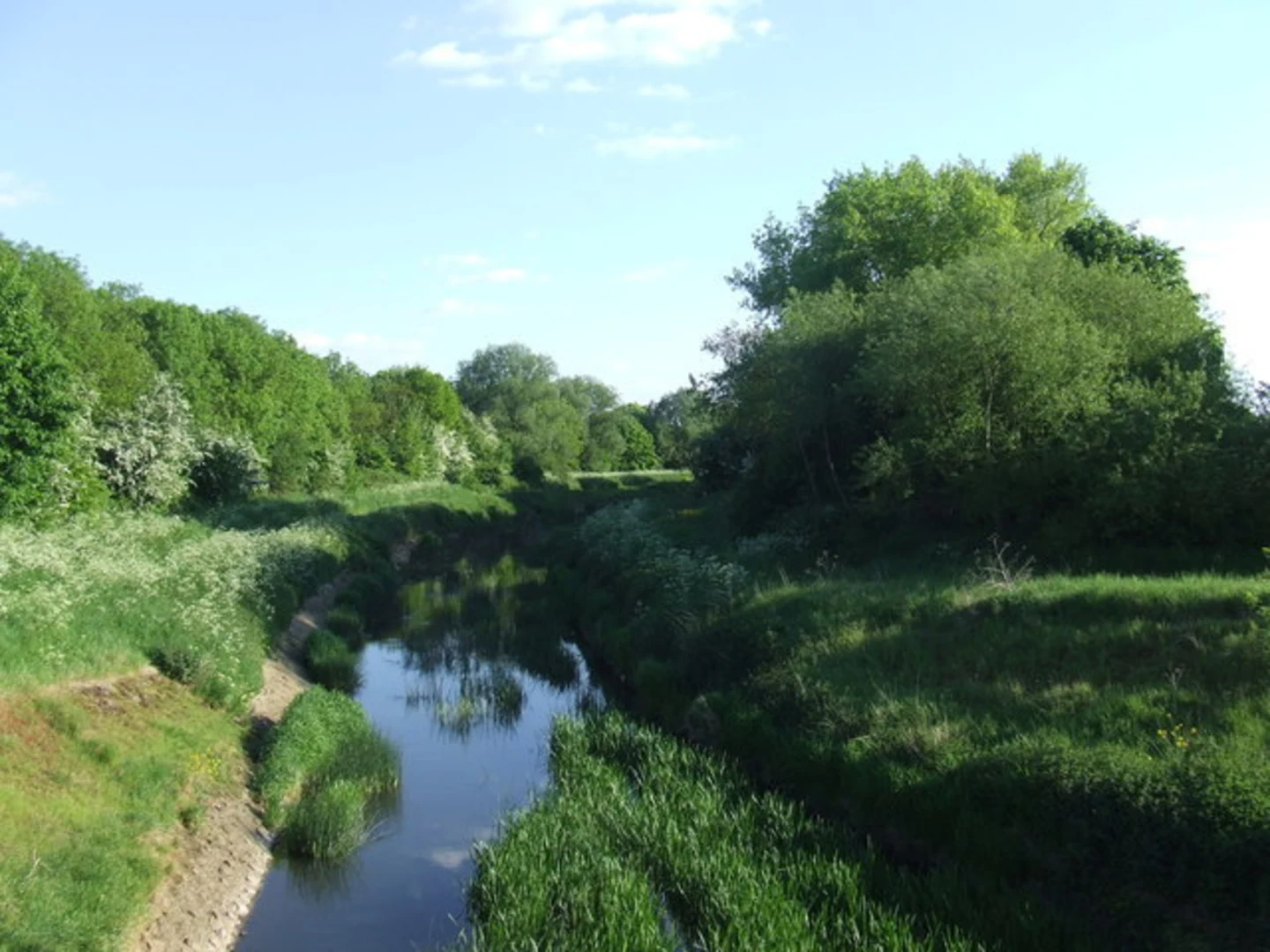 River Roding | London | England