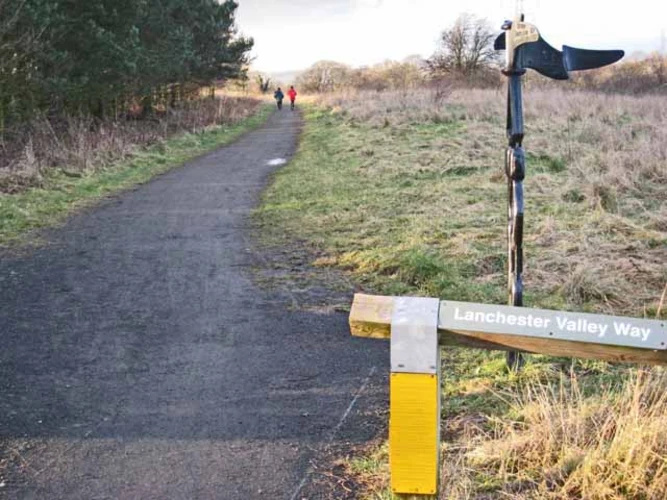 Templetown to Broompark Walk