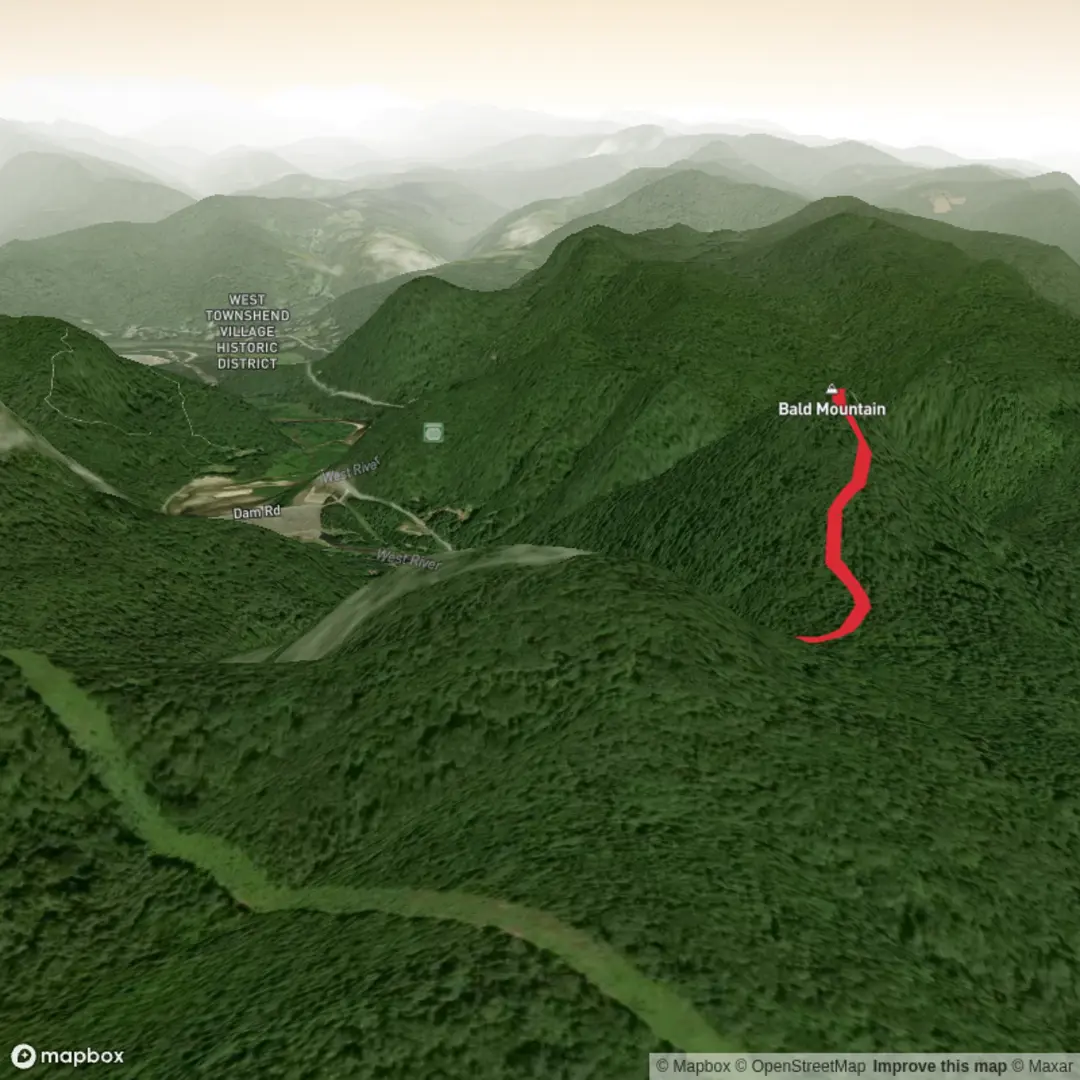 An image depicting the trail Bald Mountain and its surrounding area.