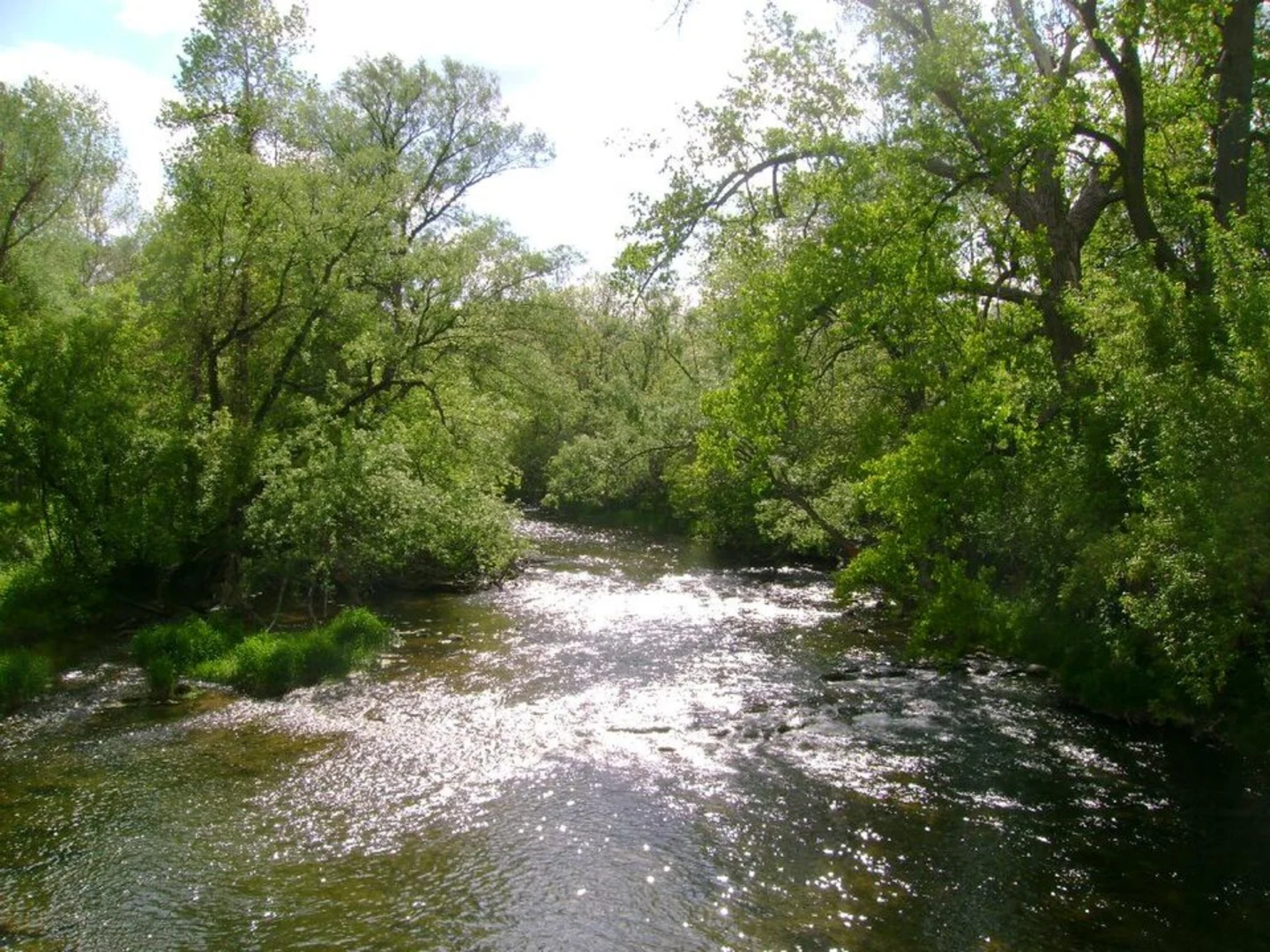 An image depicting the trail Oatka Creek Park Loop and its surrounding area.