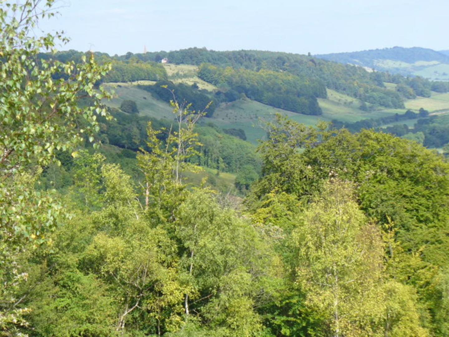 An image depicting the trail Dorking to Gomshall Walk and its surrounding area.