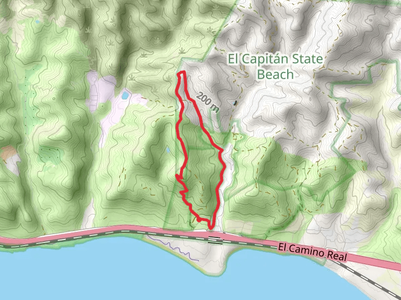 Bill Wallace Trail Loop