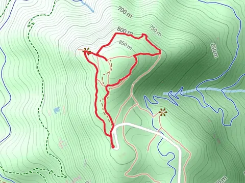 Stone Wall Trail and North Stone Tower Trail Loop