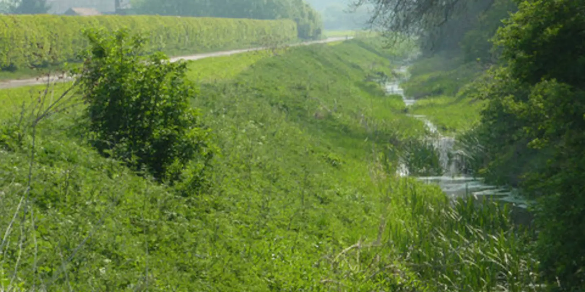 An image depicting the trail Martin and Metheringham Circular and its surrounding area.