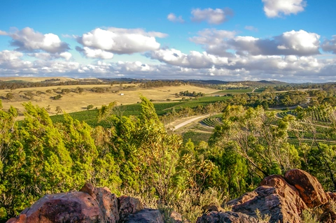 Lavender Federation Trail