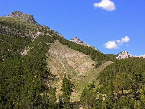 Kinderpfad Champlönch Trail