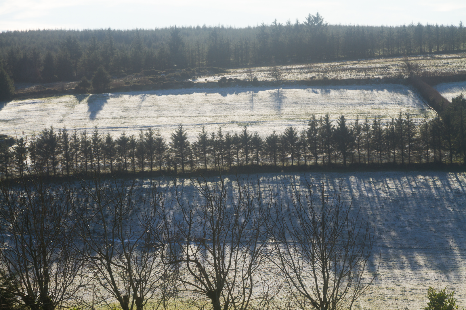 Duhallow - Source of Blackwater Loop | County Kerry | Ireland