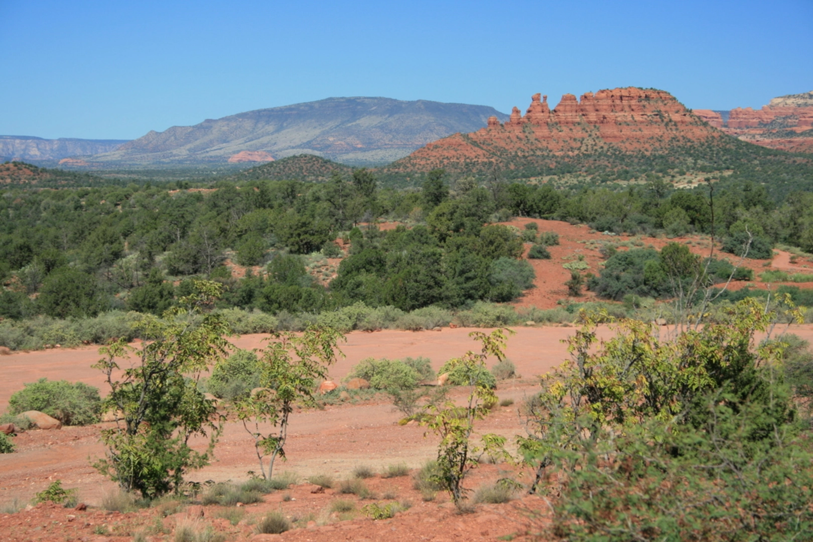 An image depicting the trail Dogie Trail and its surrounding area.