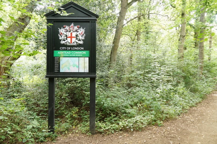 Ashtead Common National Nature Reserve Loop