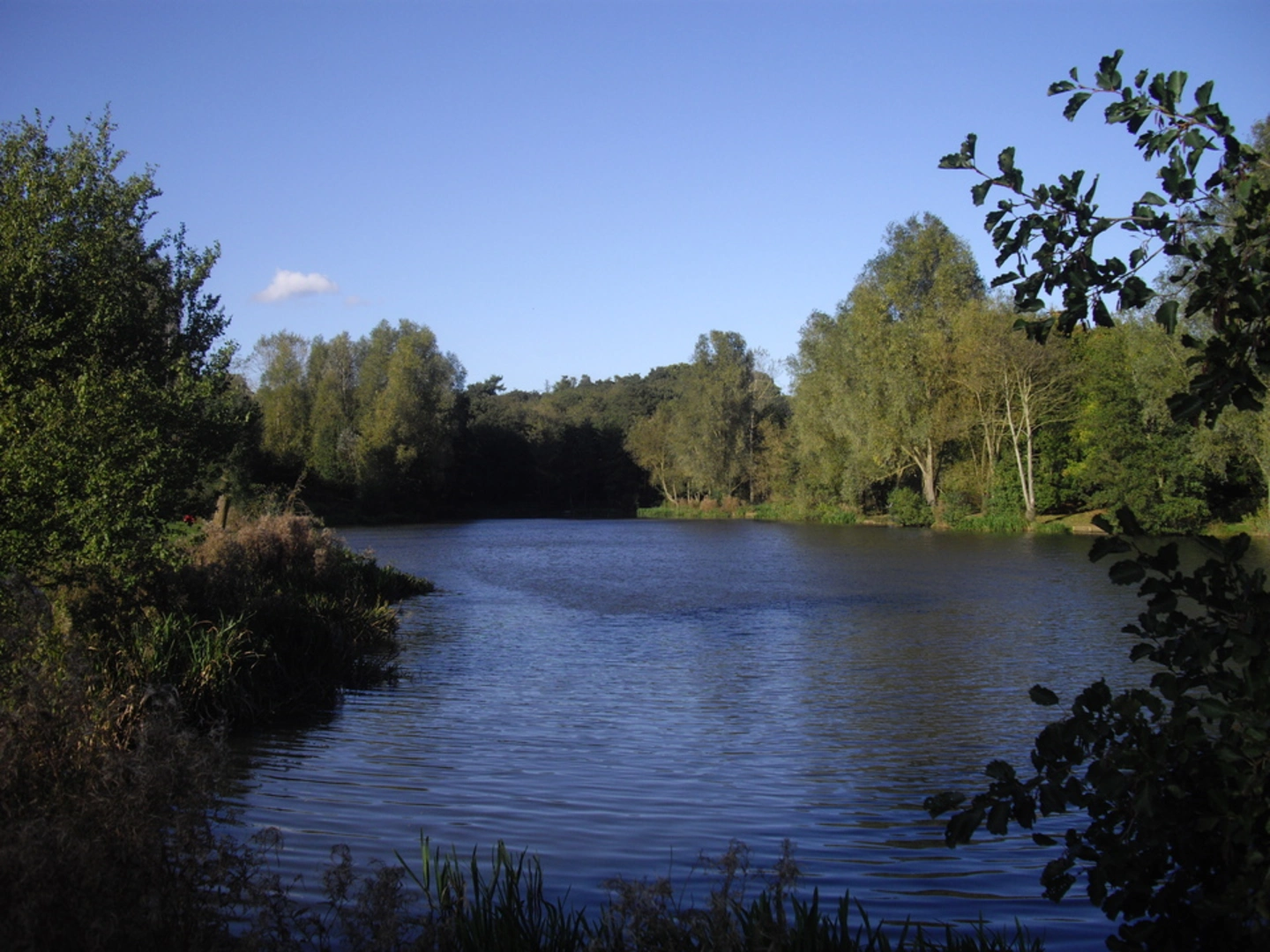An image depicting the trail High Woods Country Park and its surrounding area.