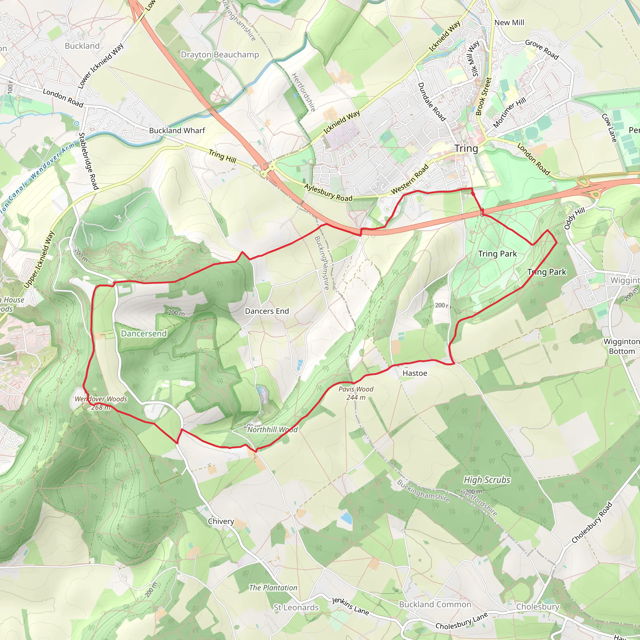 Wendover Woods from Tring | Hertfordshire | England