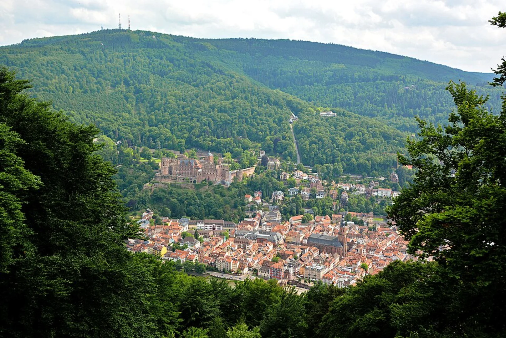 An image depicting the trail Walderlebnispfad and Koenigstuhl Loop and its surrounding area.