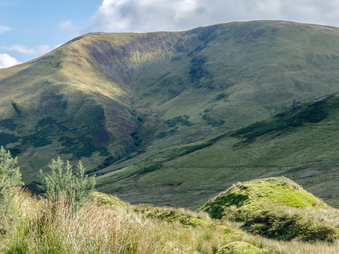 An image depicting the trail Foel Caerynwch Path - Dolgellau and its surrounding area.