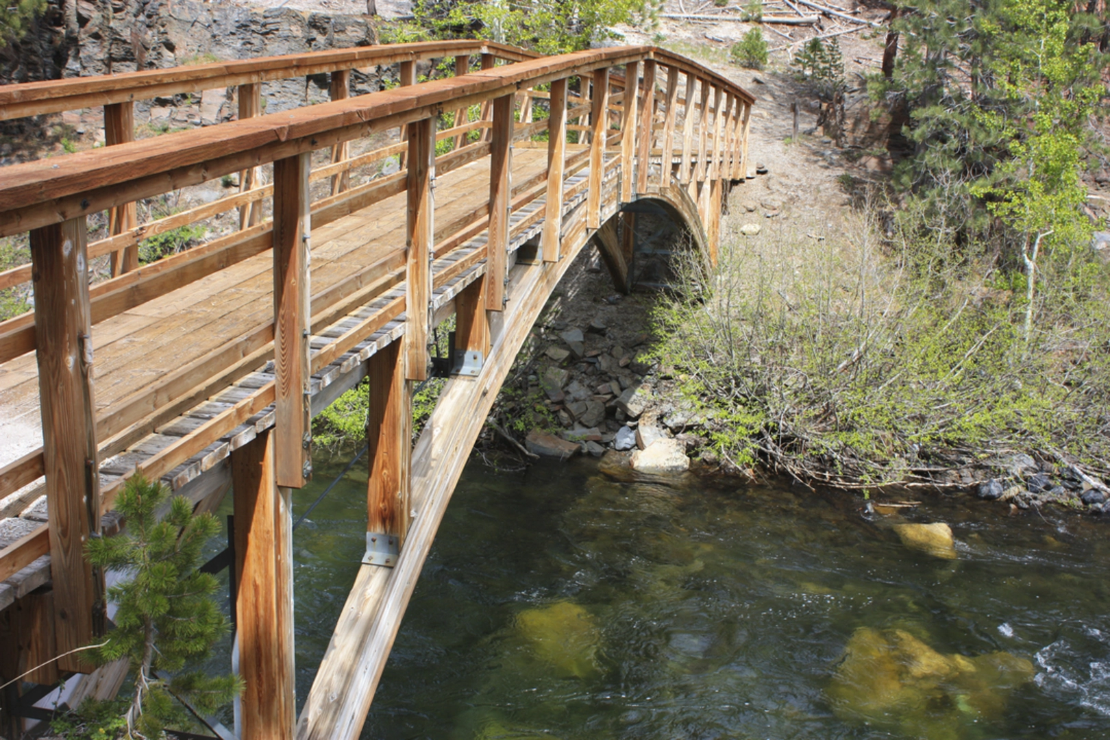 An image depicting the trail Snake Meadow Trail via Mammoth Trail and its surrounding area.