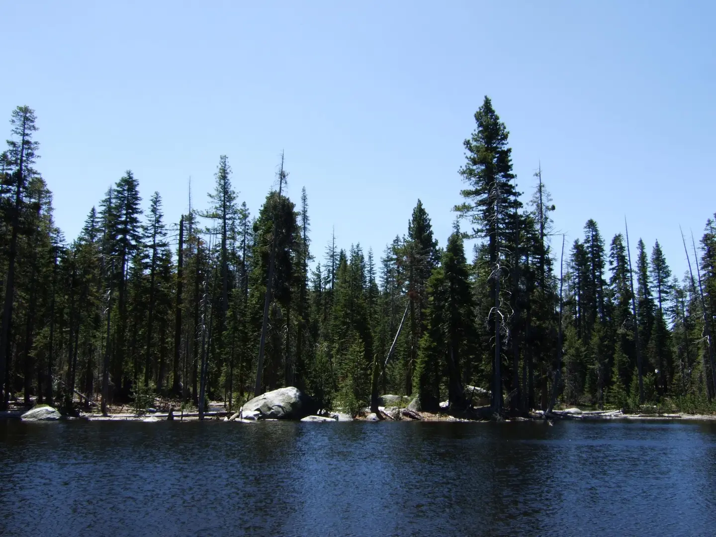 An image depicting the trail Big Sliver Creek Out and Back and its surrounding area.