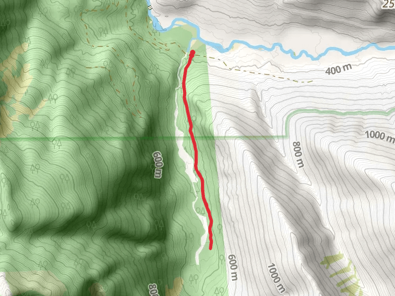 Kindy Creek Trail