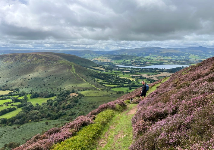 Mynydd Troed and Mynydd Llangors