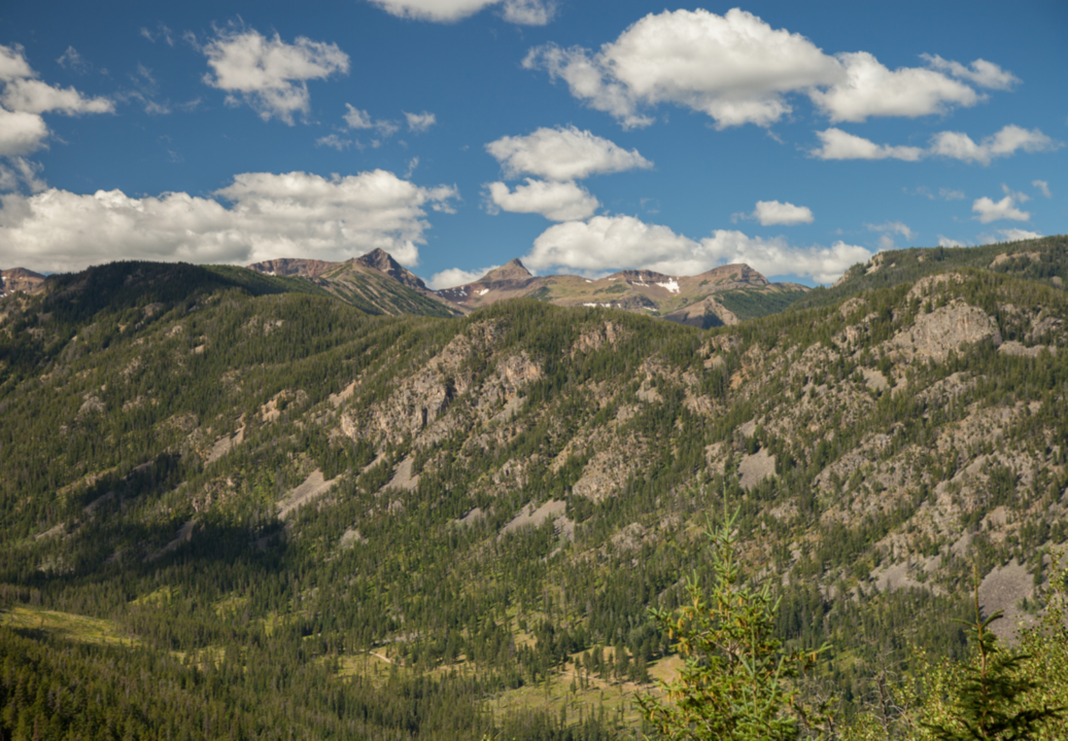 An image depicting the trail Spread Creek Trail and its surrounding area.