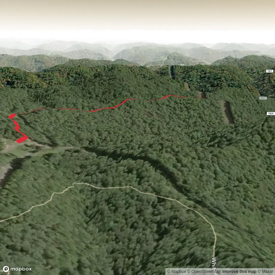 An image depicting the trail Sky Trail and its surrounding area.