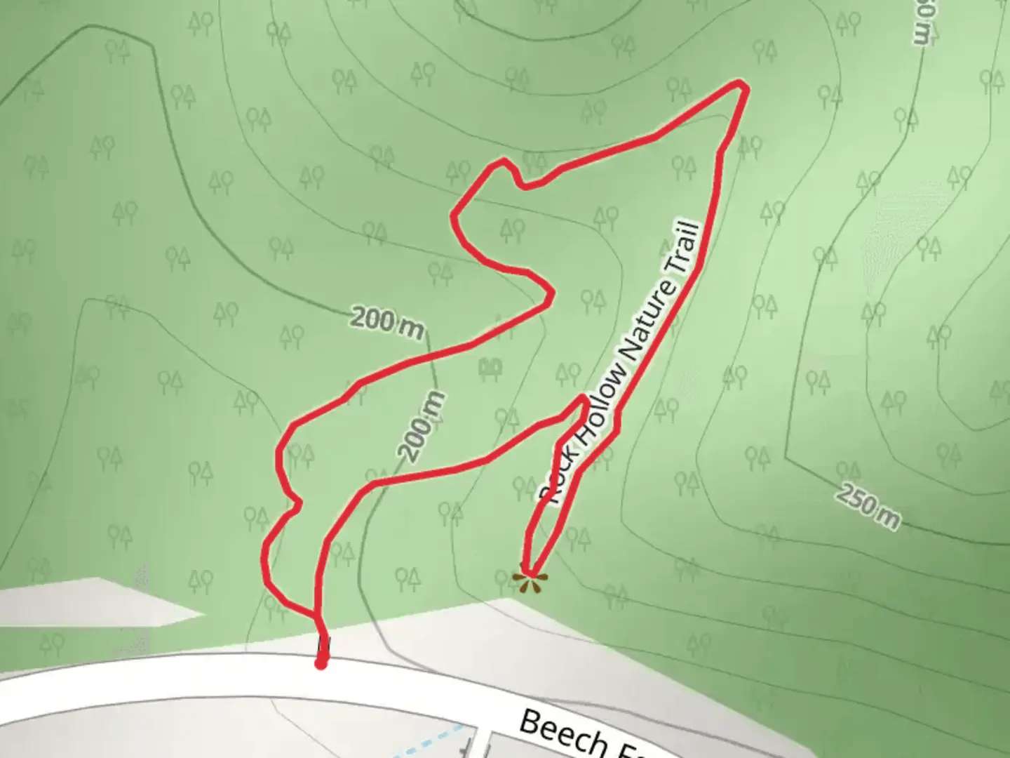 An image depicting the trail Rock Hollow Nature Loop Trail and its surrounding area.