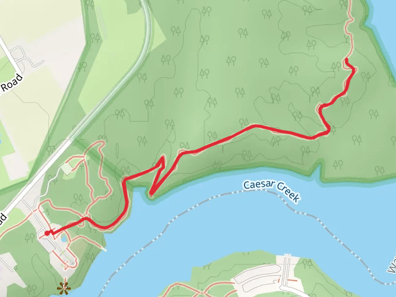 Walk along Caesar Creek Shore
