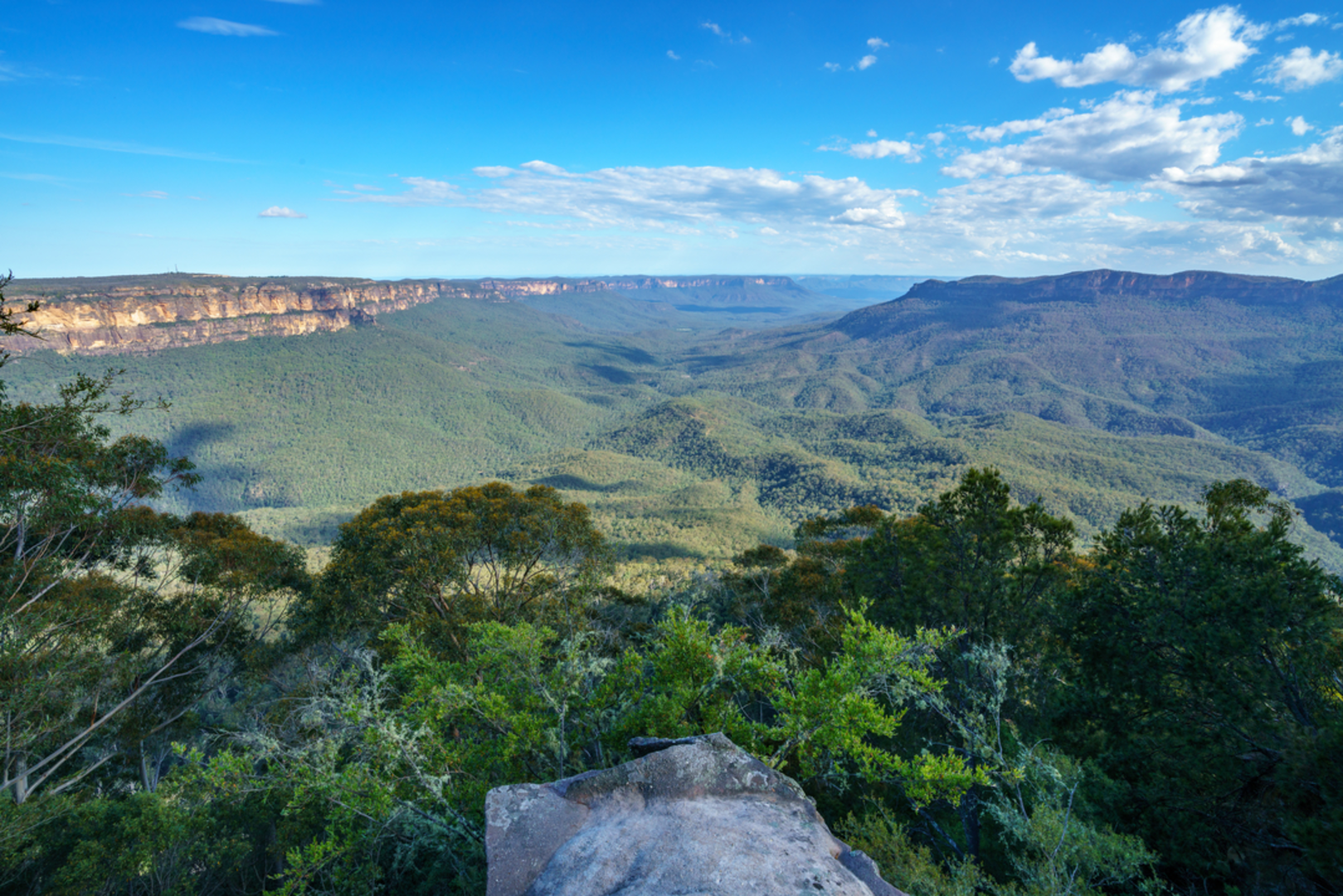 An image depicting the trail Forest Walk to Sublime Point Track and its surrounding area.