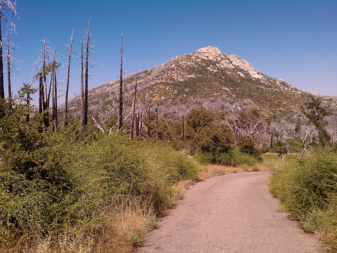 An image depicting the trail Cuyamaca Peak via West Side Trail and West Mesa Trail and its surrounding area.