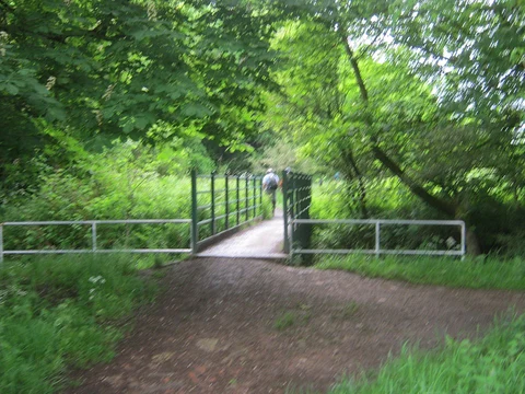 Raisby Hill Grassland Nature Reserve, East Hetton Woods and Quarrington Hill Loop