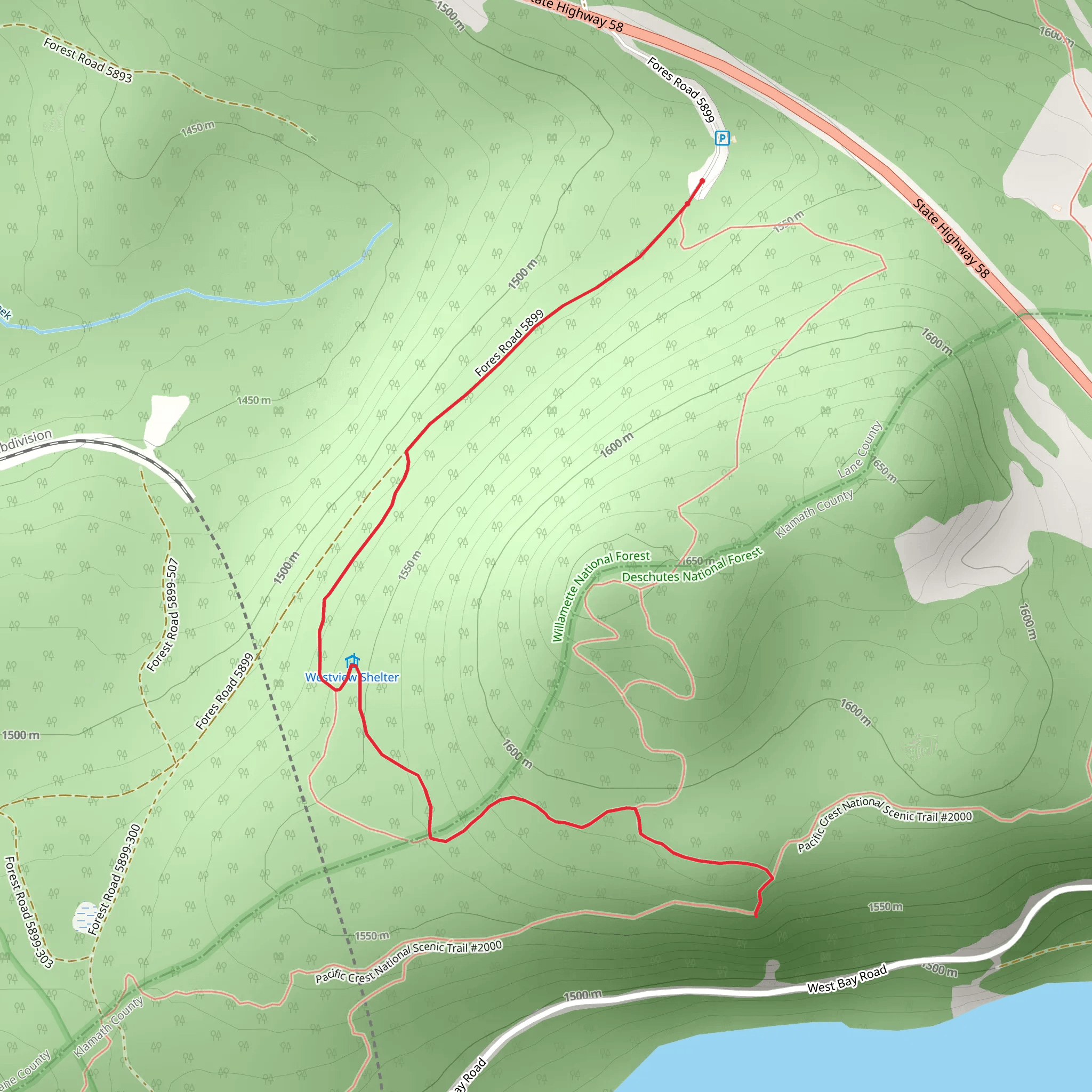 Forest Road Walk mobile static map