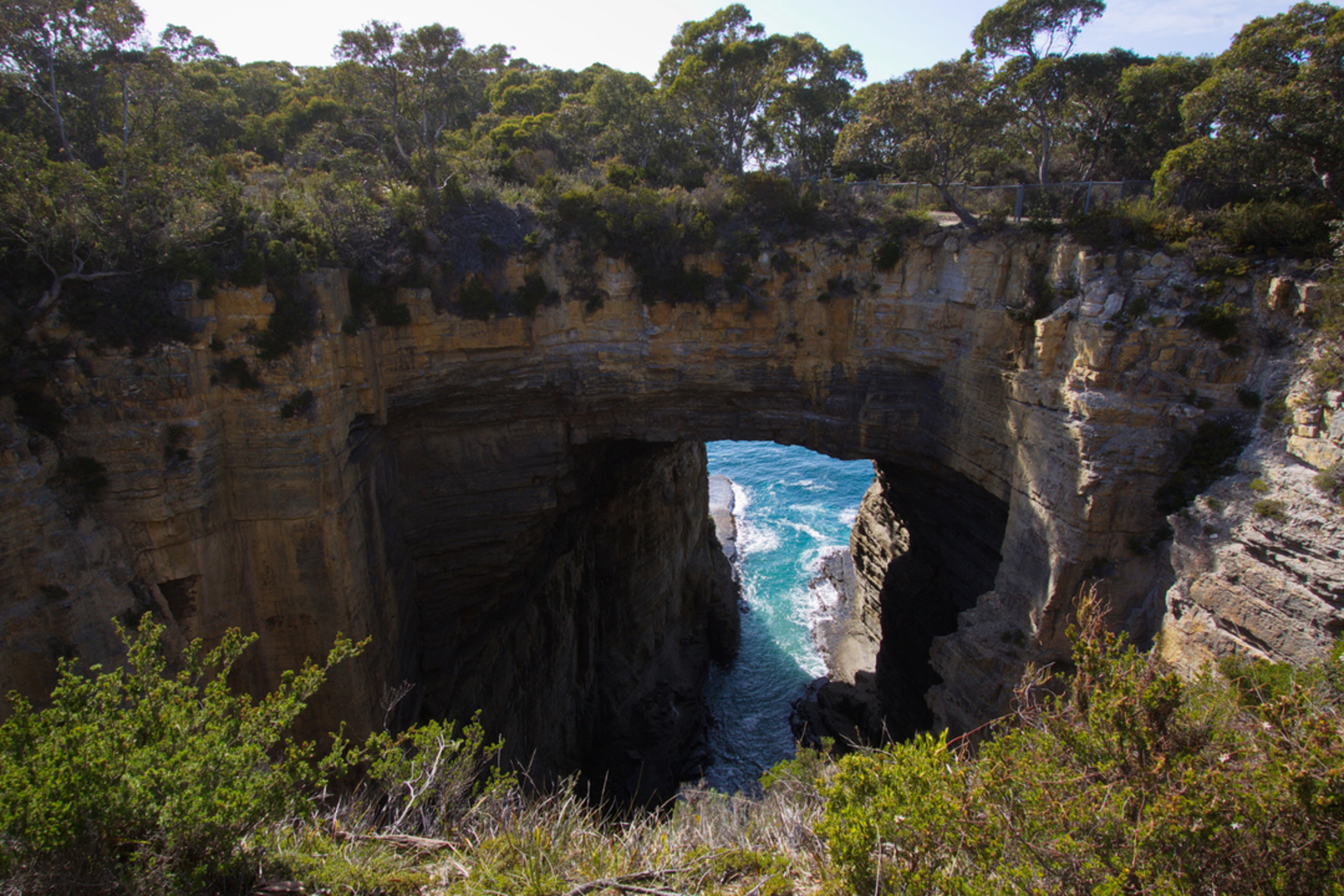 An image depicting the trail Waterfall Bay Walk and its surrounding area.
