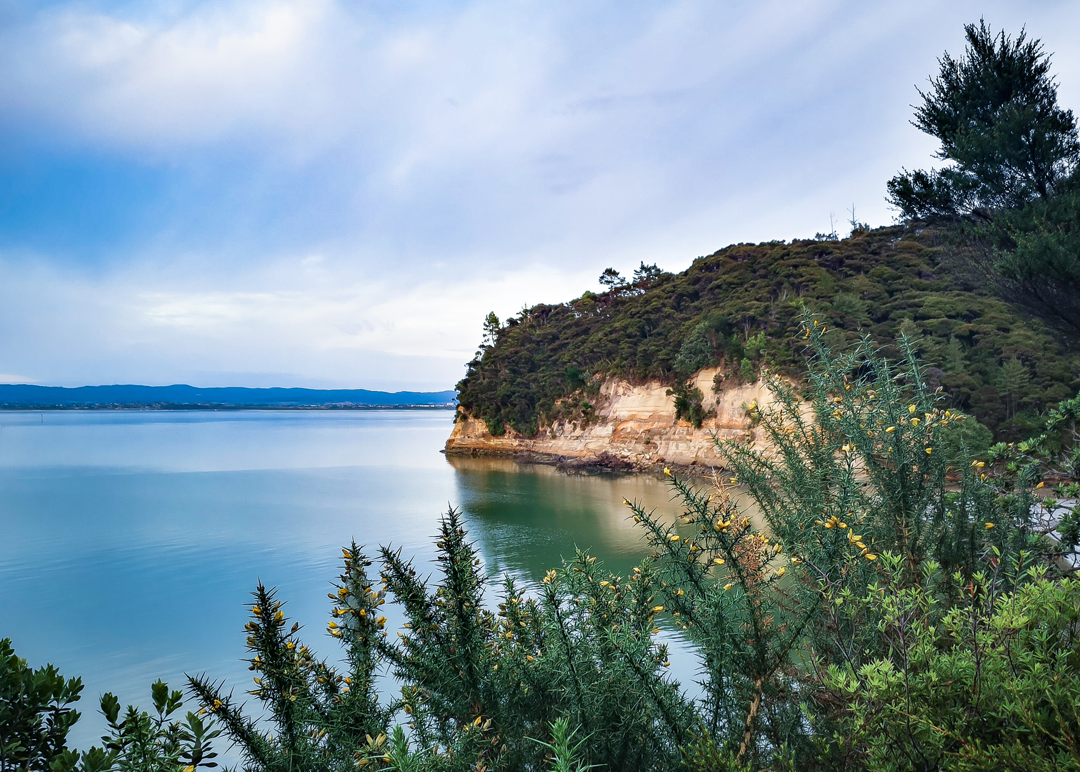 An image depicting the trail Kauri Point Centennial Path and its surrounding area.
