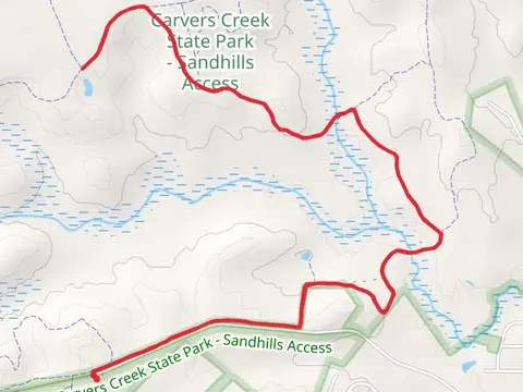 Longleaf Pine Trail