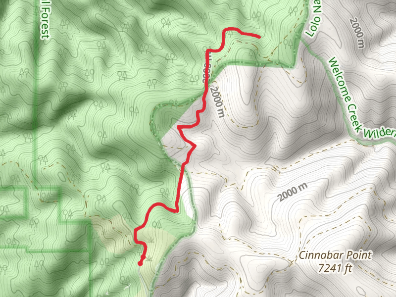 Spring Gulch - Cooney Ridge Trail
