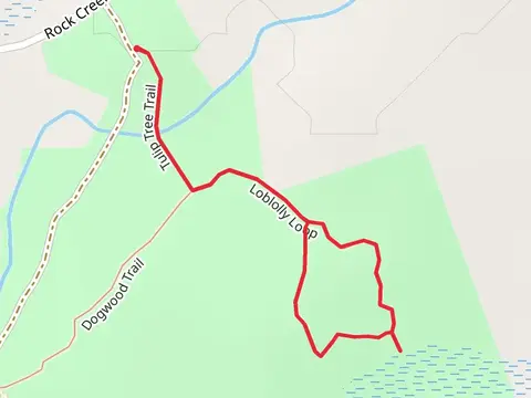 Loblolly Loop