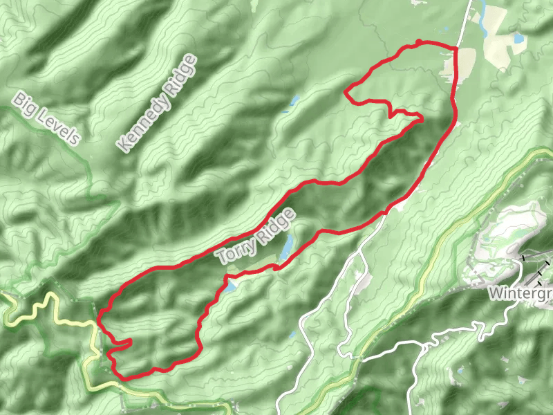 Mills Creek, Torry Mountain and White Rock Gap Loop Trail