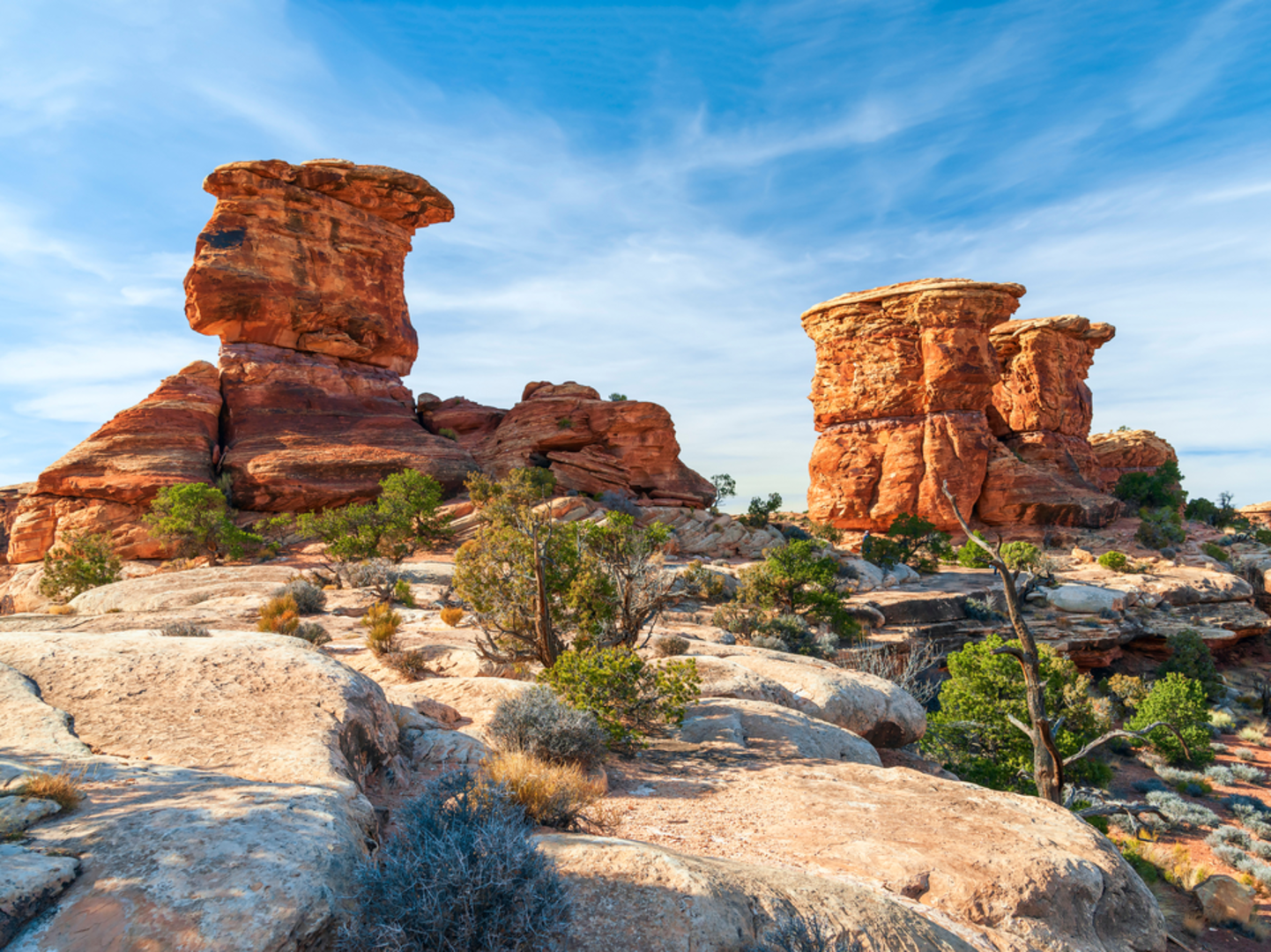 An image depicting the trail Pothole Point Trail and its surrounding area.