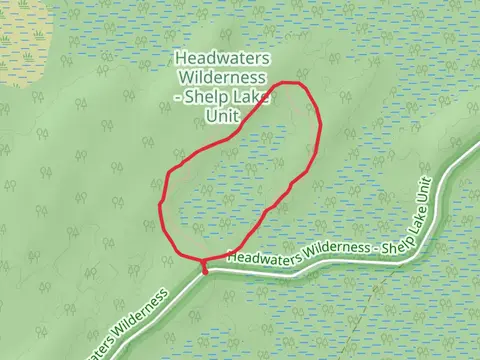 Giant Pine Trail