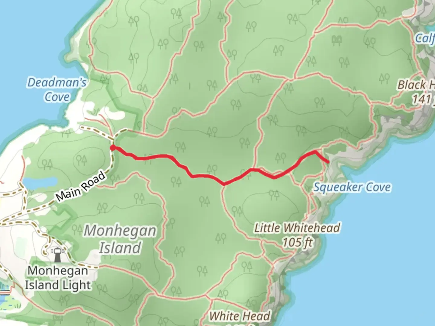 An image depicting the trail Squeaker Cove from Black Head Road and its surrounding area.