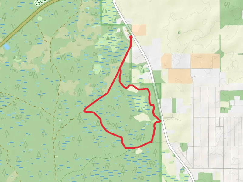 Goethe State Forest Loop Trail